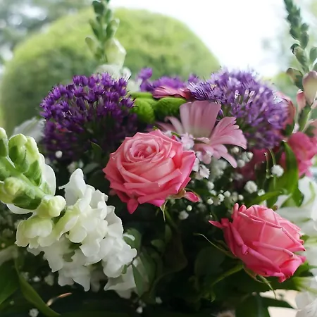 Haugs Heimatliebe דירה